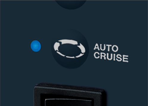 Auto Cruise Function
